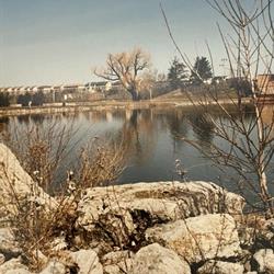 'Baby' Loafers Lake, 1982